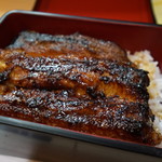 炭焼うなぎ 加茂 - 