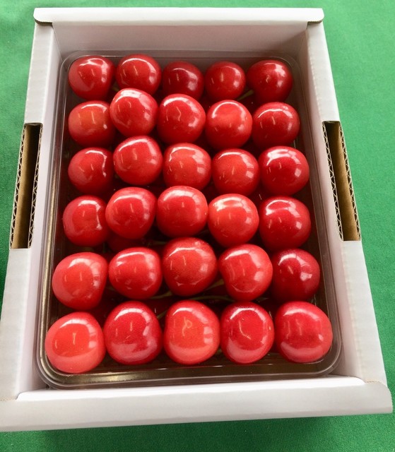 石山果樹園直売所（イシヤマカジュエンチョクバイジョ） - さくらんぼ東根（その他）の写真