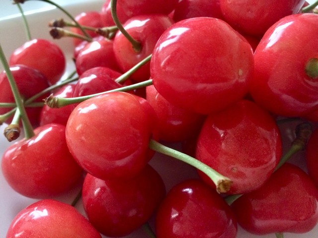 石山果樹園直売所 &ndash; 東根のさくらんぼ・季節果物直売・観光スポット