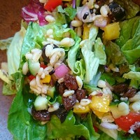 Cucina del NABUCCO - 