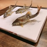 御料理 光安 - 小鮎の塩焼き