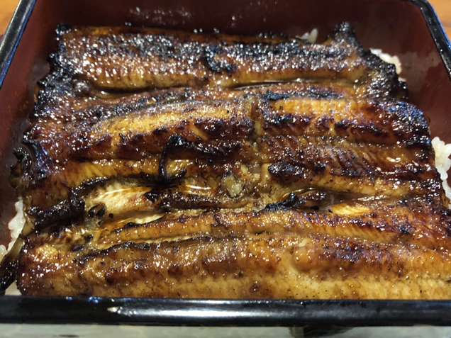 藤 - 郡山（うなぎ）の写真