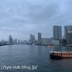 東京湾納涼船 - 