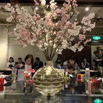 Japanese Ramen Noodle Lab Q - 