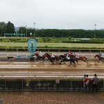 水沢競馬場 クラブハウス - 