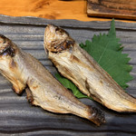 居食屋 わいるどふぁーむ  - 