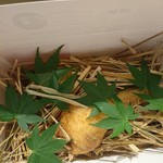 傳 - (2019年6月　訪問)傳タッキー。茶豆でした。