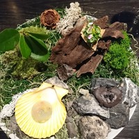 L'EAU - (2019年5月　訪問)前菜：水・葉・土・石を表現。