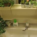 酒菜坊 橋蔵 - 厠