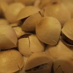 酒菜坊 橋蔵 - 銀杏　ズームアップ