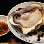 Shou Kaisei - 岩牡蠣