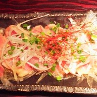 鳥ばか一代 - 