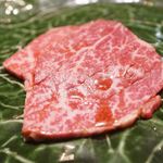 NIKUSYO taku ohira - 