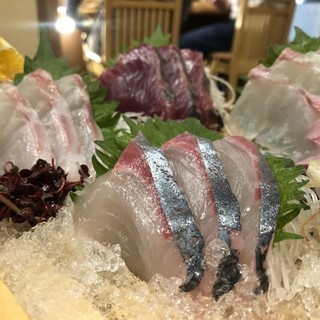 サカノミサキ_0