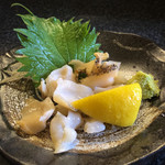 ようちゃん - つぶ貝