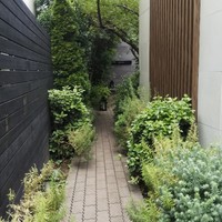 レストラン・ランス・ヤナギダテ - 