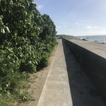 旬家ばんちゃん - 