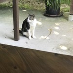 旬家ばんちゃん - 