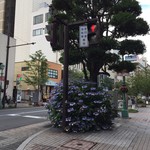 みそだれやきとり かんちゃん - 