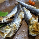 焼鳥・元気 - これが、また、ビールに合うんですよね。 うるめを食べながら親父話に花が咲きましたよ。