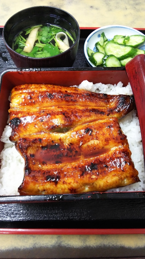 『成田といえば鰻！日本庭園を望めるお店。』by m0ana9 : 川豊別館 （カワトヨベッカン） - 京成成田/うなぎ [食べログ]... 