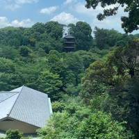 日本料理 みゆき - 椿山荘の廊下からの
                気色...、タヌキがいいるらしいよ...、蛍の季節だね...