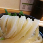 手打ちうどん こげら - 