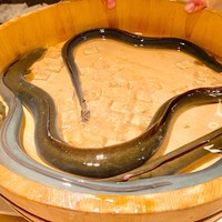 うなぎ時任 - 