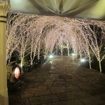 横浜うかい亭 - クリスマスのイルミネーション