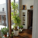 ぴょんぴょん舎 - 落ち着いた雰囲気で席もゆったりです。