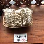 カフェアンドショップ ロータスランド - 2019/07/02
      コイのエサ