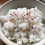 カフェアンドショップ ロータスランド - 2019/07/02
      モーニングＡセット 380円
      おまかせセット 550円
      プリンアラモード 420円
      豆乳ストロベリーアイスクリーム 150円