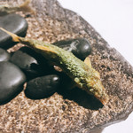 ラ・ヴァガボンド - 