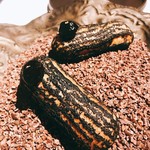 ラ・ヴァガボンド - 