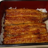 うなぎ割烹 白金台 まつ本 - 