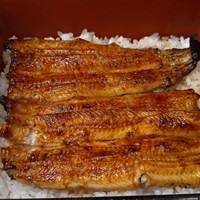 うなぎ割烹 白金台 まつ本 - 