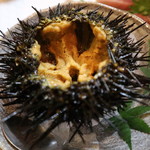 季節料理 よし野 - ウニ