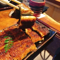 鰻う おか冨士 - 