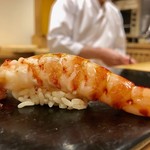 鮨 はしもと - 2019.5.  車海老