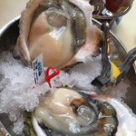 Oyster Bar ジャックポット - 