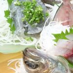 湘南朝どれ刺身×魚の串焼き たまりば