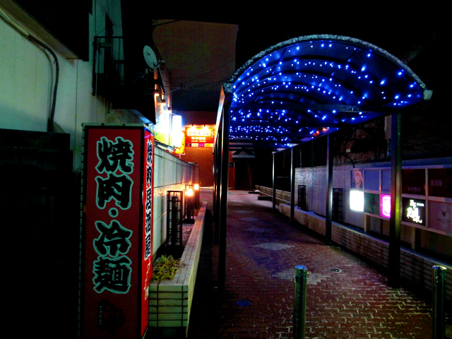 ひびき庵 - 十和田市（焼き鳥）