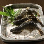 かたつむり - 和良鮎