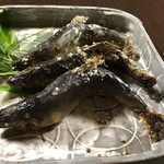 かたつむり - 和良鮎