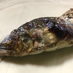 かたつむり - 和良鮎