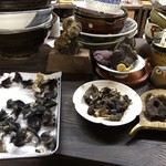 かたつむり - ツキノワグマの爪など