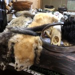 かたつむり - 毛皮