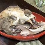 かたつむり - ツキノワグマの頭