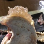 かたつむり - ツキノワグマのあご