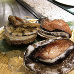 コルザ - 動き回るアワビ